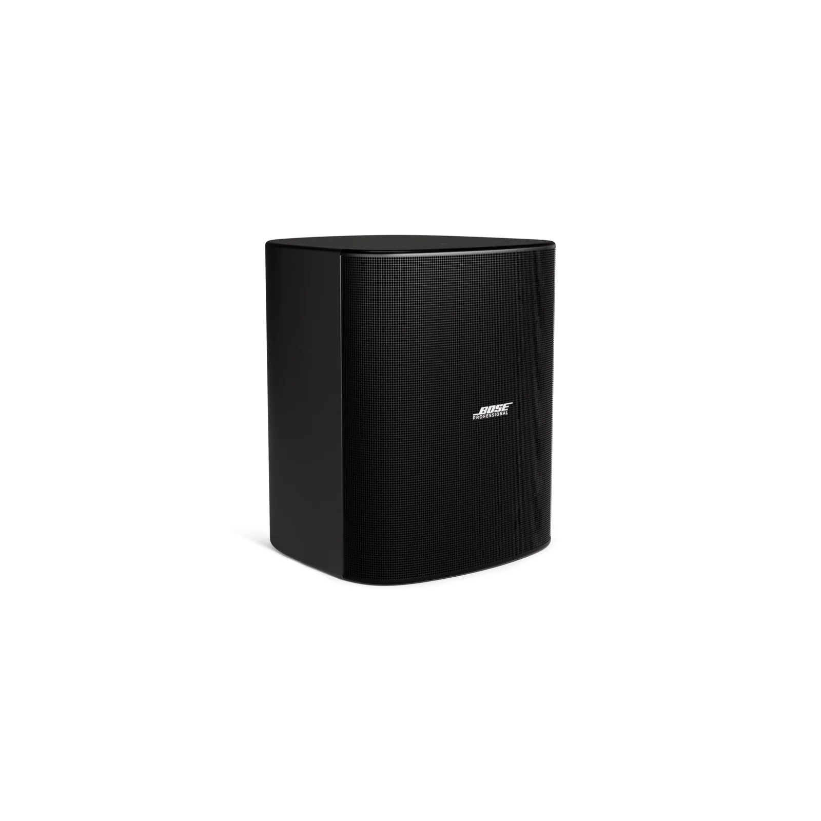 Bose DM12SE — official front three-quarter view